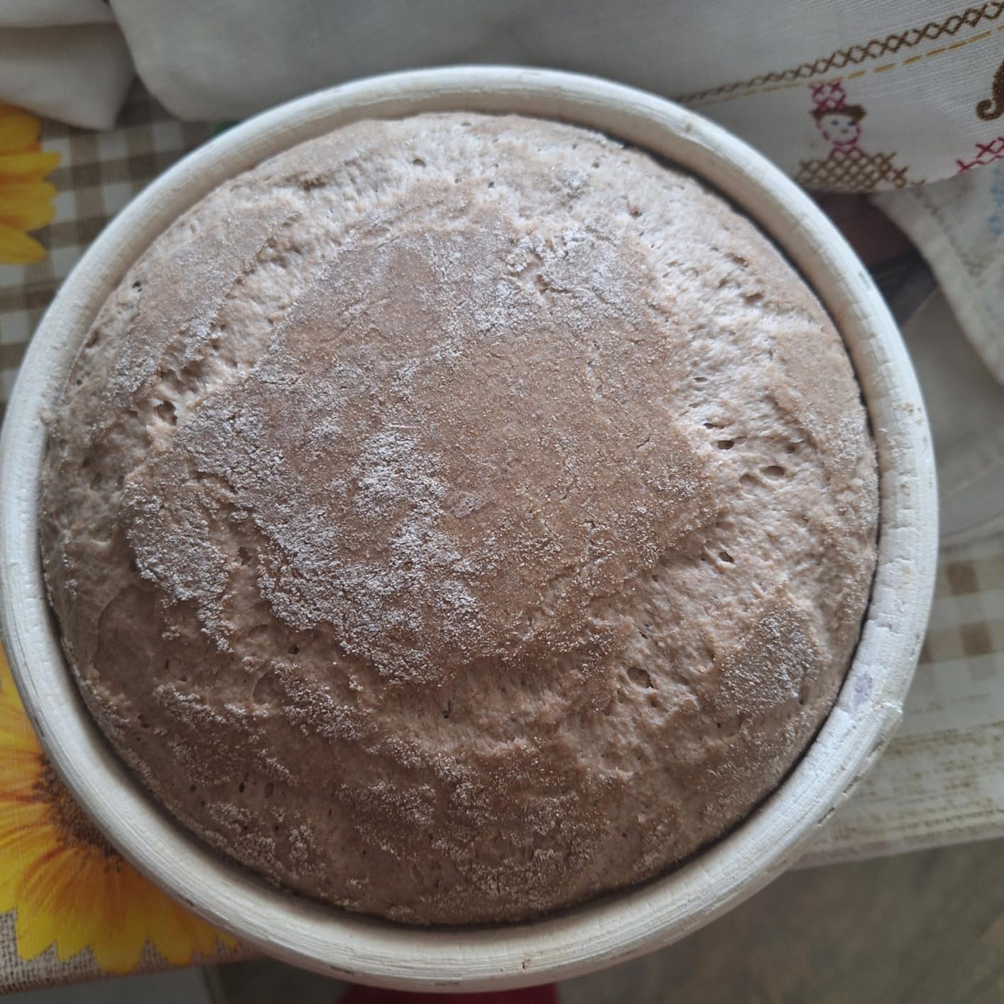 Gutes Gärkörbchen