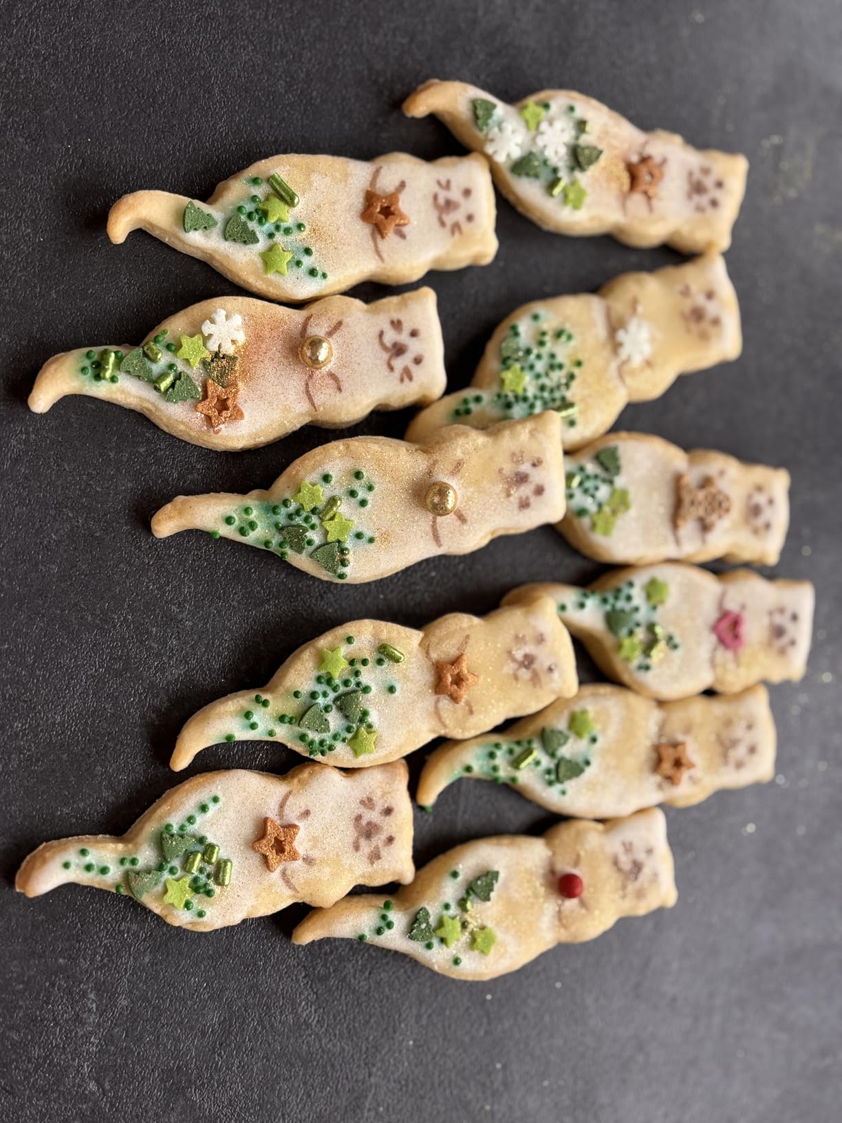 Süßester Otter aller Zeiten